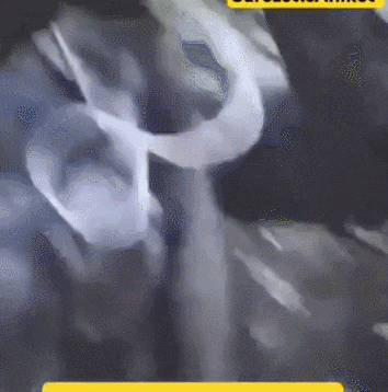 皇冠信用网怎么申请
_近日曝光!被印军包围皇冠信用网怎么申请
,两名落单解放军嘴咬手雷,誓死不当俘虏