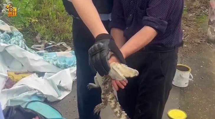 皇冠信用網登2代理
_吓一大跳皇冠信用網登2代理
!浙江一男子钓鱼竟然钓到了…异常凶猛!