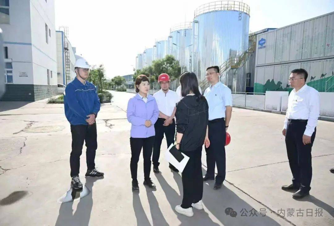 皇冠信用网怎么开户
_王莉霞在鄂尔多斯督导中央巡视及中央生态环保督察移交信访件办理工作