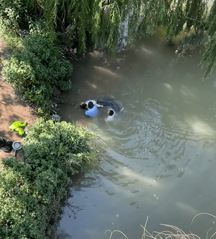 皇冠信用网平台出租
_辅警跳河救起轻生女皇冠信用网平台出租
，上岸时被红火蚁咬伤：系最危险入侵物种之一，过敏者或致休克