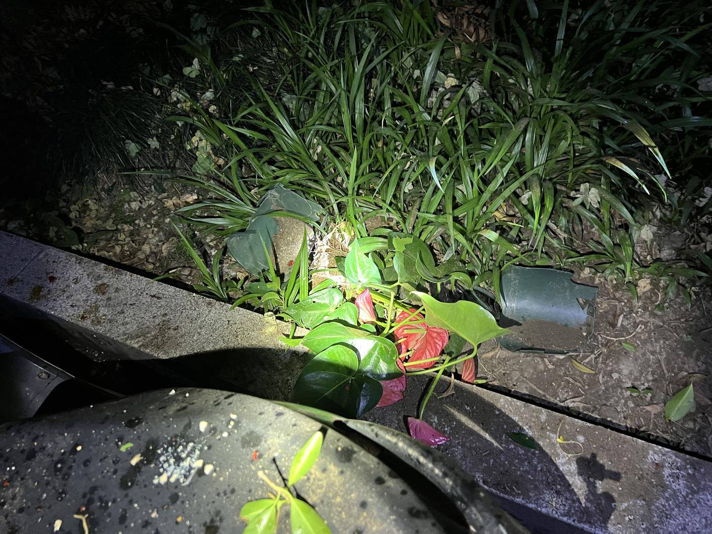 怎么开皇冠信用盘
_男子与朋友吃酒起争执怎么开皇冠信用盘
，竟从10楼扔下绿萝、兰花和不锈钢盆，被刑拘