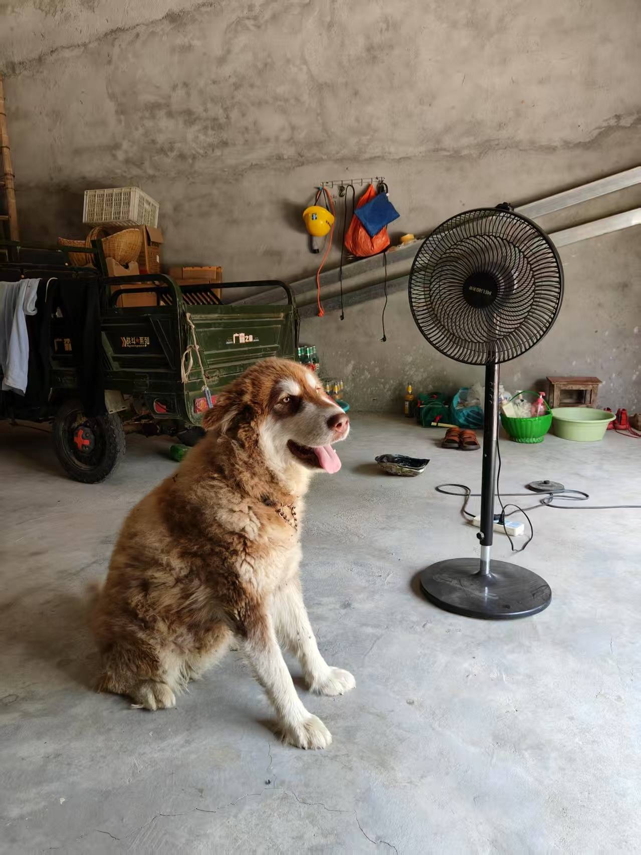 帕丘卡足球_00后女孩醉驾时速174公里撞死3人帕丘卡足球，逝者母亲：我每天都活在痛苦中