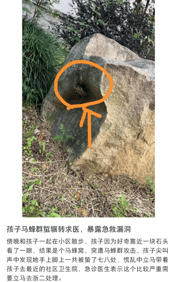 亚冠精英_6岁女童被马蜂蜇伤辗转5家医院才得到治疗亚冠精英？杭州卫健委：会反映给相关处室