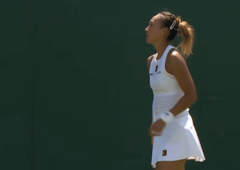 大连英博vs浙江_温网即时战况:西尼亚科娃拿到两个局点大连英博vs浙江,最终以7-5先下一城