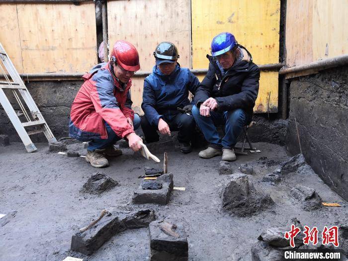 皇冠信用网代理注册_世界级重大考古成果皇冠信用网代理注册!中国发现30万年前东亚最早木器