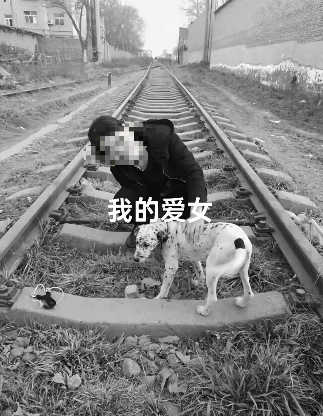 墨尔本骑士 v 欧克莱卡诺
_陕西一护士被同居男友杀害墨尔本骑士 v 欧克莱卡诺
，日记称长久遭受暴力威胁，家属希望追加虐待罪名，最新进展