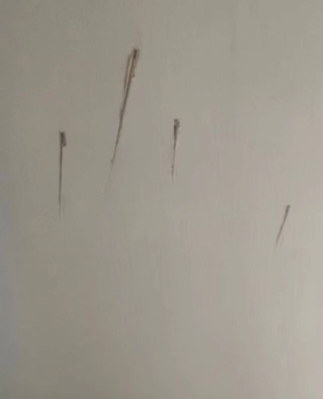 墨尔本骑士 v 欧克莱卡诺
_陕西一护士被同居男友杀害墨尔本骑士 v 欧克莱卡诺
，日记称长久遭受暴力威胁，家属希望追加虐待罪名，最新进展