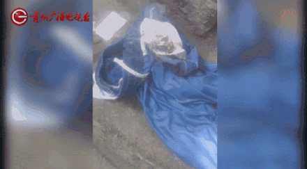 皇冠信用网注册
_女子水中捡漂亮石头装裤兜里被烧伤皇冠信用网注册
,医生:“石头”初步判定是磷