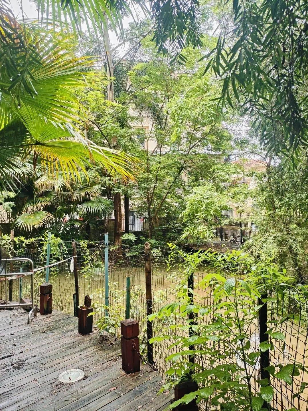 桑德兰vs西汉姆联
_黄杨钿甜父母回应网络争议：“天价耳环”实际100多元桑德兰vs西汉姆联
，别墅不是自家的，只是路过拍照