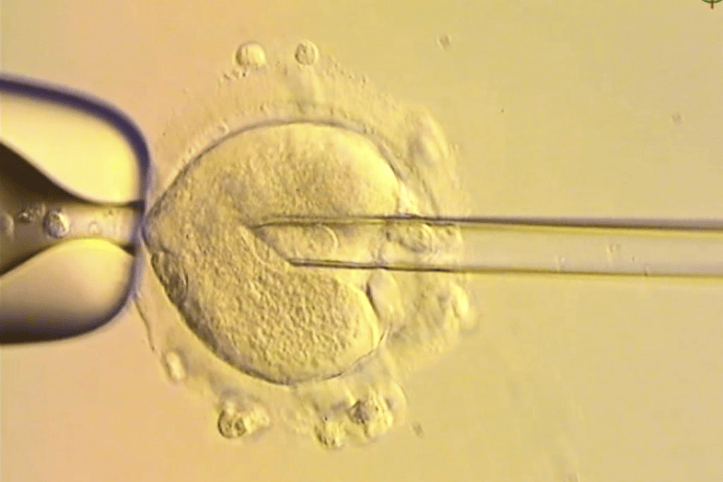 皇冠信用網怎么申请
_世界首创！英国成功结合3人基因诞生婴儿截断遗传病传播皇冠信用網怎么申请
，已有8名婴儿出生