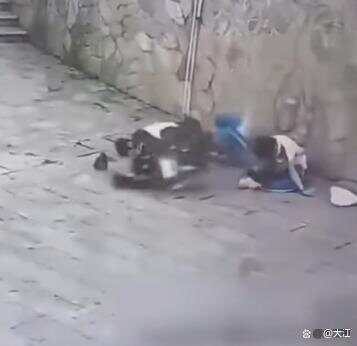 皇冠信用网代理注册 
_湖南两高中生骑电动车撞围墙身亡皇冠信用网代理注册 
，两人均未佩戴安全头盔 家属称系改装车，最高时速100公里