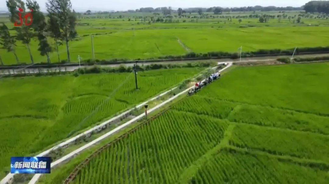 皇冠信用网如何注册
_【龙视新闻联播】黑土地上的“私人定制”