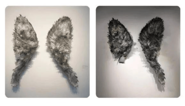 皇冠信用网如何注册
_上海一博物馆循环播放12年前“熊孩子”损坏展品视频皇冠信用网如何注册
，馆方：起警示作用