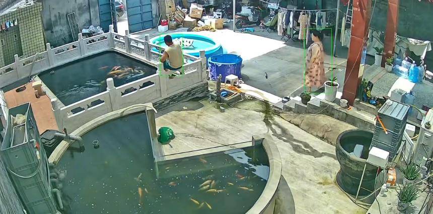 怎么申请皇冠信用网
_新乡一男子喂鱼忘送娃上课被妻子踹进鱼池：妻子怀孕脾气有时候控制不住怎么申请皇冠信用网
，互相道了歉