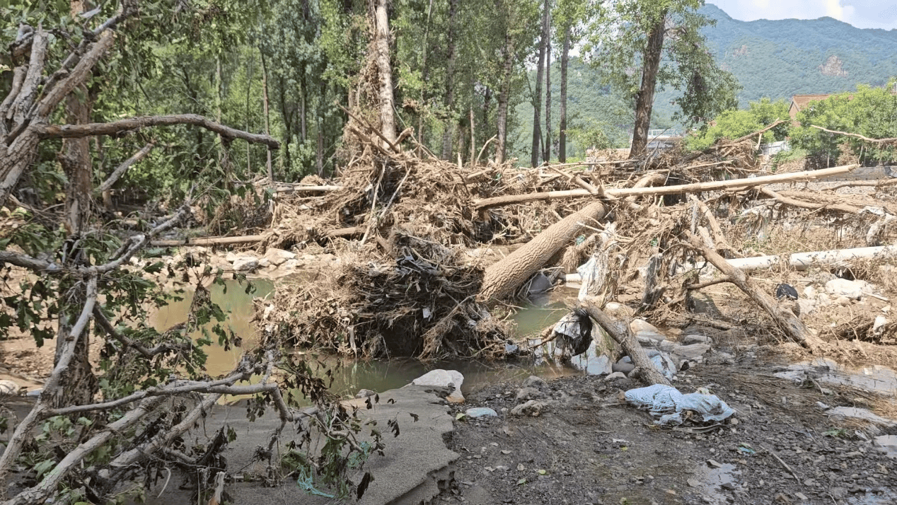 皇冠信用网登3
_洪灾后的河北承德兴隆县 民宿、板栗和山楂如何恢复生机皇冠信用网登3
？