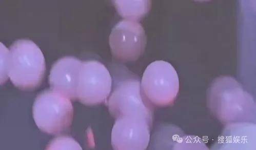 皇冠信用網会员开户
_调侃“接受不了生女儿”被骂好几天皇冠信用網会员开户
，他自曝差点因此家庭破裂......