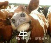 皇冠信用網会员开户
_调侃“接受不了生女儿”被骂好几天皇冠信用網会员开户
，他自曝差点因此家庭破裂......