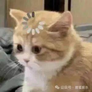 皇冠信用开号
_离婚三年又被拍到亲密逛超市皇冠信用开号
，他俩这是纯带娃还是真复合了？