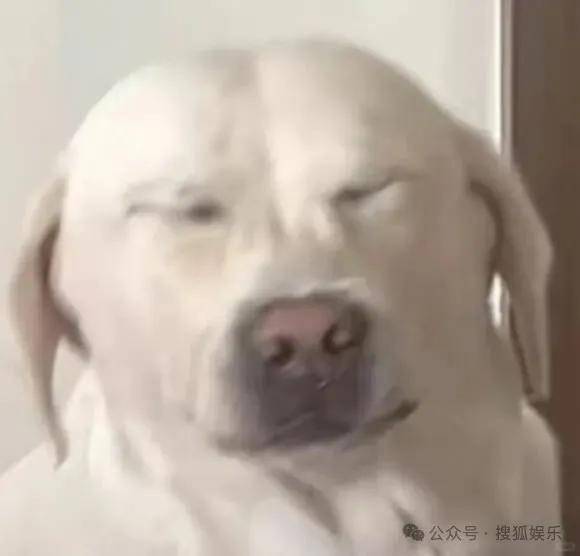 皇冠信用开号
_离婚三年又被拍到亲密逛超市皇冠信用开号
，他俩这是纯带娃还是真复合了？