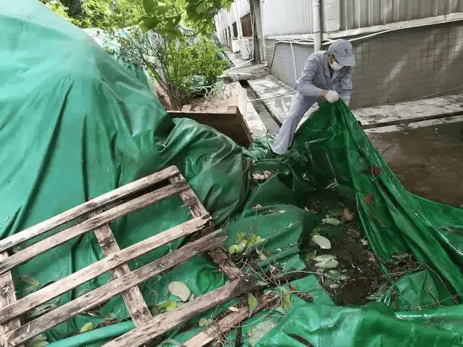 皇冠信用网账号注册
_家里的这几个地方皇冠信用网账号注册
，正悄悄“养”出花斑蚊！快自查→