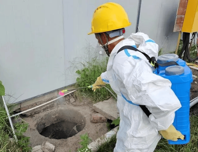 皇冠信用网账号注册
_家里的这几个地方皇冠信用网账号注册
，正悄悄“养”出花斑蚊！快自查→