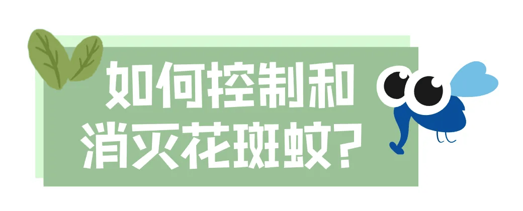 皇冠信用网账号注册
_家里的这几个地方皇冠信用网账号注册
，正悄悄“养”出花斑蚊！快自查→