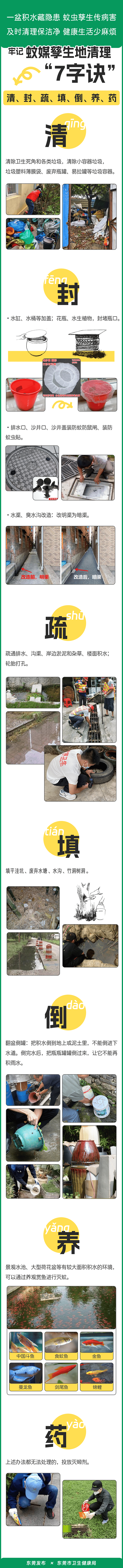 皇冠信用网账号注册
_家里的这几个地方皇冠信用网账号注册
，正悄悄“养”出花斑蚊！快自查→