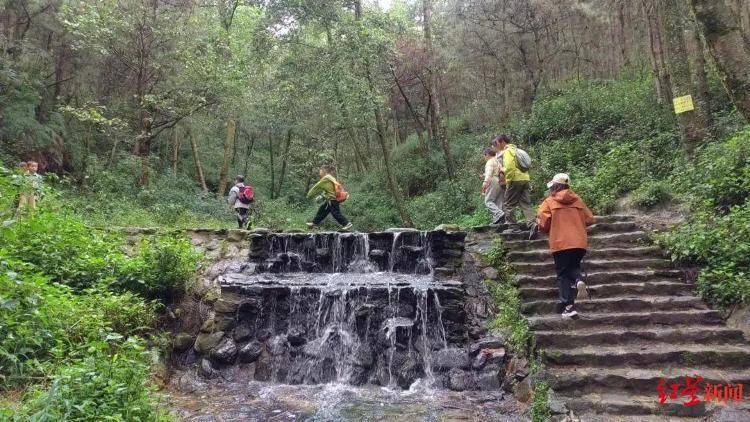 伊斯坦堡士邦vs马尼沙
_走访“8岁自闭症男童走失遇难”背后看护机构：称“深陷自责中”