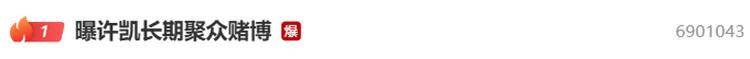浅蓝沼津vs枥木城_演员许凯被曝长期聚众赌博浅蓝沼津vs枥木城，一年金额高达百万？警方：已关注此事