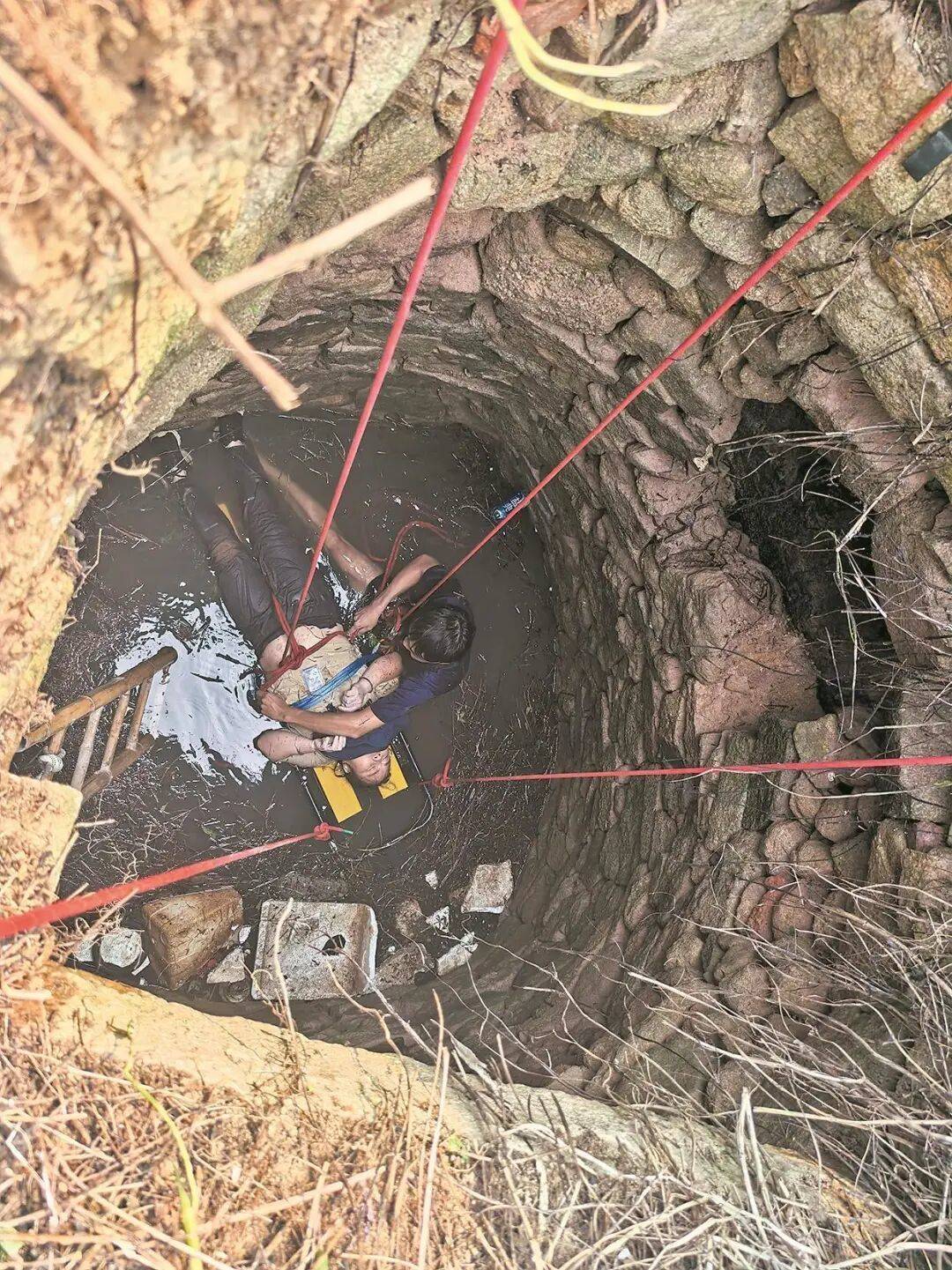 皇冠信用网注册_泉州坠井女子“54小时噩梦”:几条蛇爬身上皇冠信用网注册,双侧肋骨骨折!绝望时靠一个信念坚持活下来……