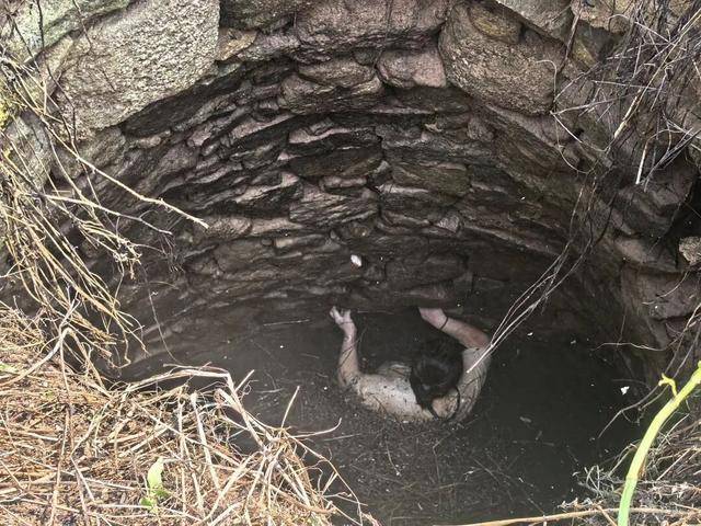 怎么开通皇冠信用網口_48岁女子坠废井54小时获救怎么开通皇冠信用網口，多条蛇缠身被咬也不敢动，绝望时想起家人和父母靠信念等来救援