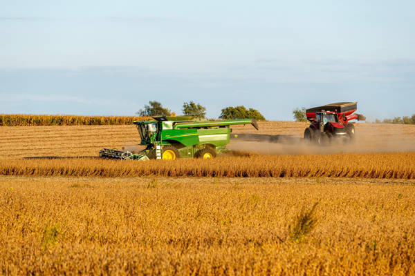 皇冠信用网出租_丢了中国市场皇冠信用网出租,美国全球“找补”:印度也买点吧