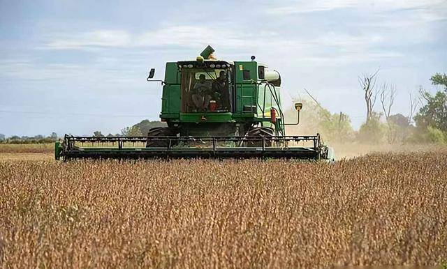 皇冠信用網需要押金吗_阿根廷继续卖中国大豆皇冠信用網需要押金吗，美国放狠话，我使馆回应亮了：美方管不着