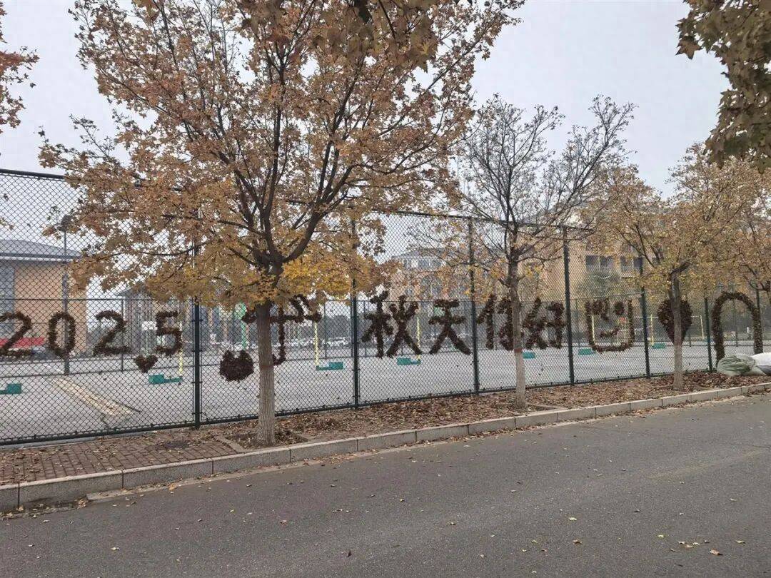 皇冠信用网怎么申请
_河南一医学院学生用落叶在篮球场铁网上插出心肝肺胃、注射器等图案皇冠信用网怎么申请
,学校:秋日限定浪漫